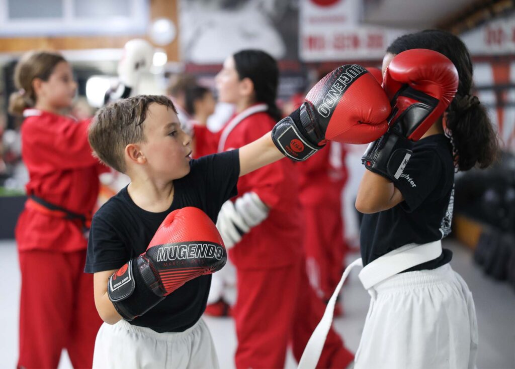 artes marciales gava